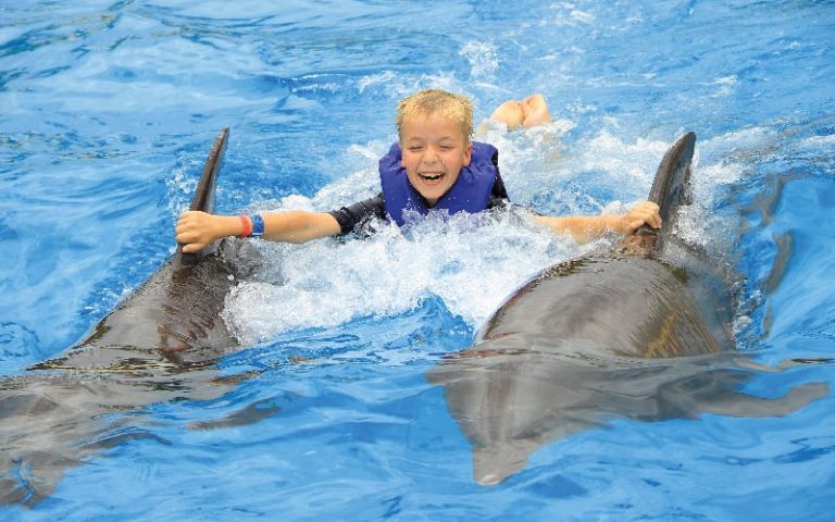 The Extraordinary Dolphins in Puerto Vallarta